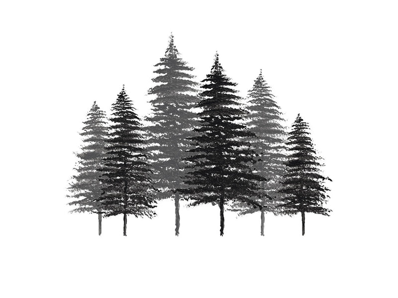 17,246 Sketch Evergreen Trees Images, Stock Photos, 3D objects, & Vectors |  Shutterstock