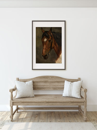 A Horse Portrait